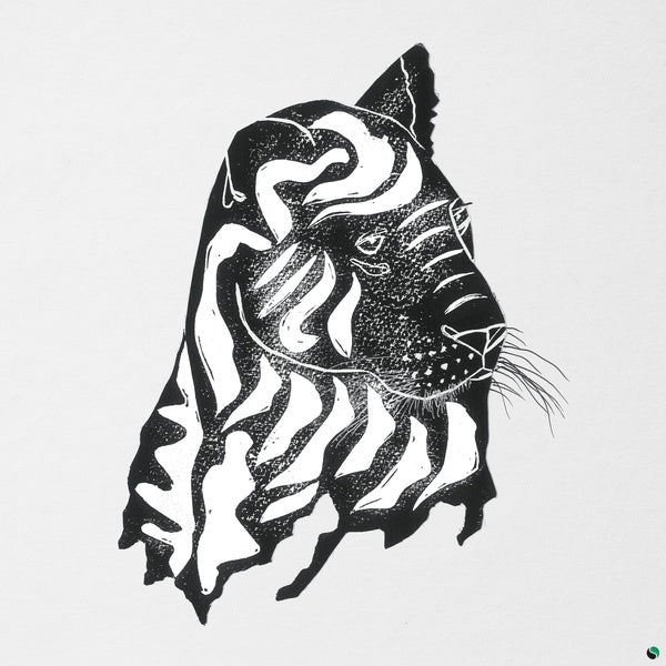 ALPHA STEPPA & AWA FALL What a Joy