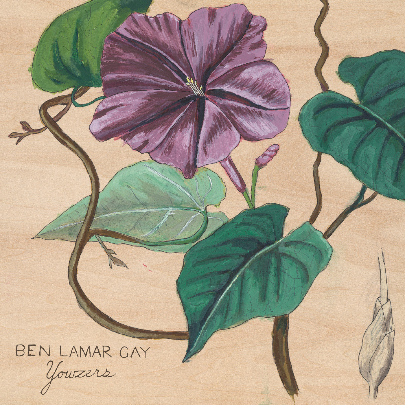 Ben LaMar Gay Yowzers (Ipomoea Jalapa Marble Pink Vinyl)