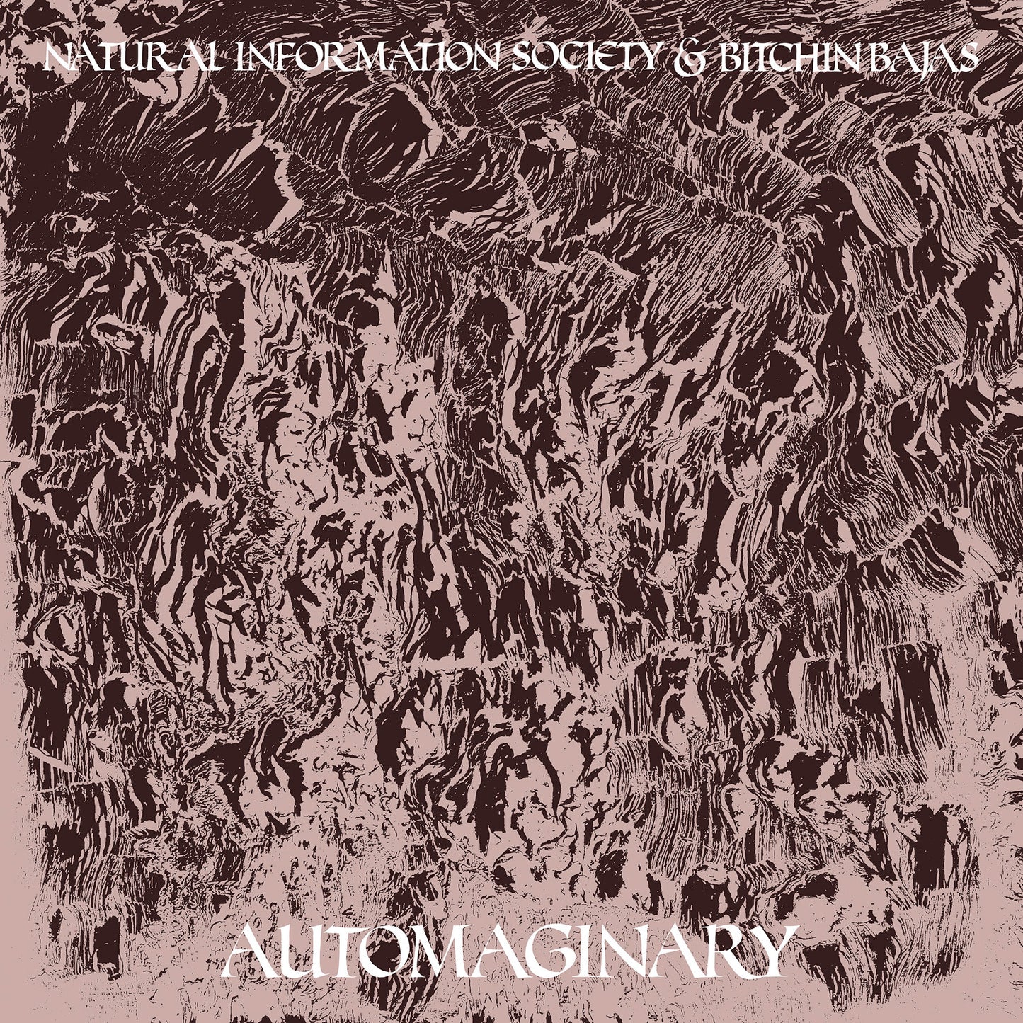 Bitchin Bajas & Natural Information Society Automaginary
