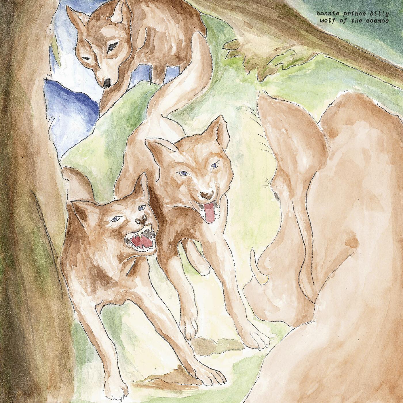 Bonnie 'Prince' Billy Wolf of the Cosmos