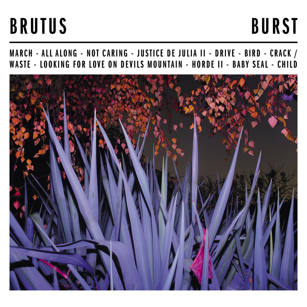 Brutus Burst