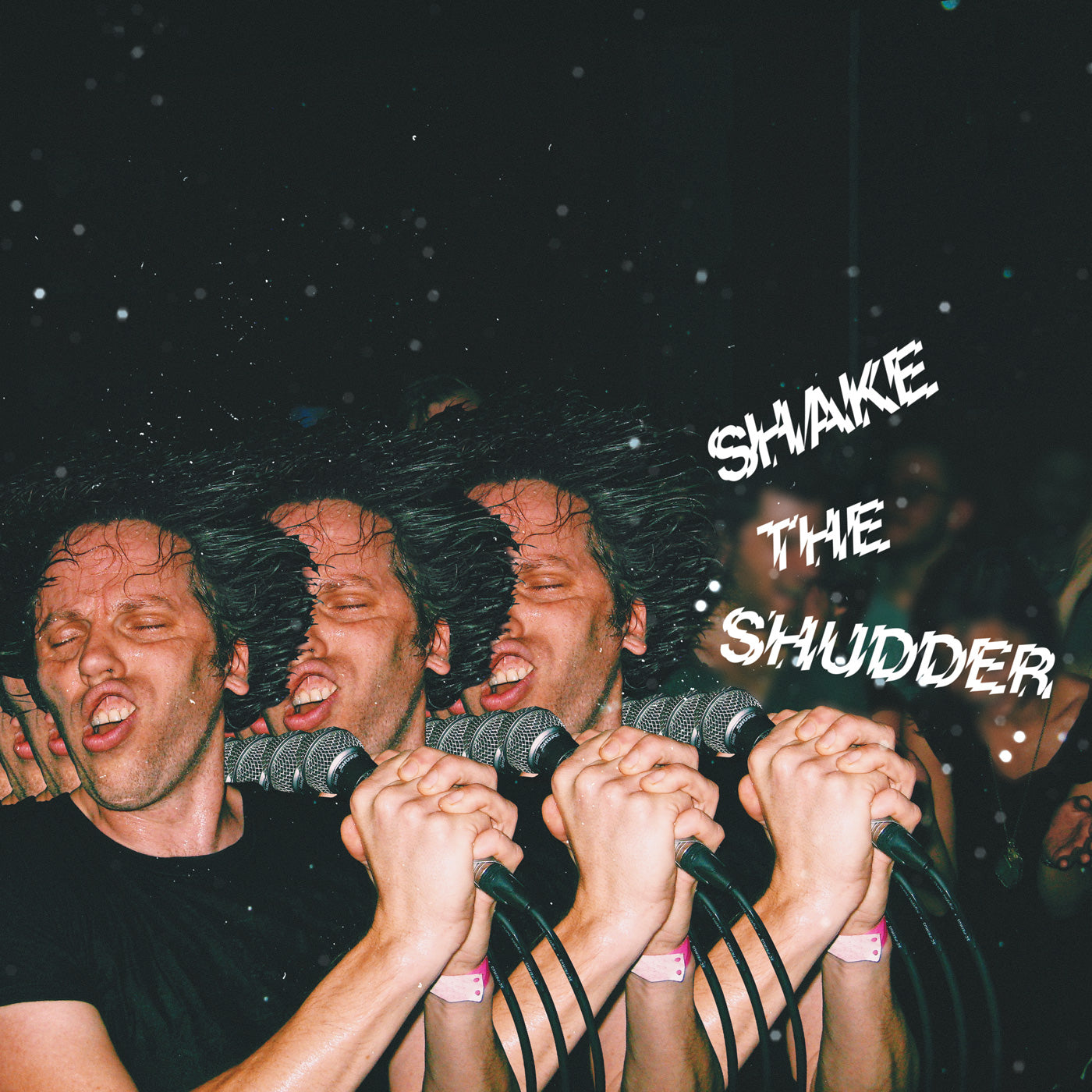 !!! (Chk Chk Chk) Shake The Shudder (INDIE ONLY COLOR VINYL)