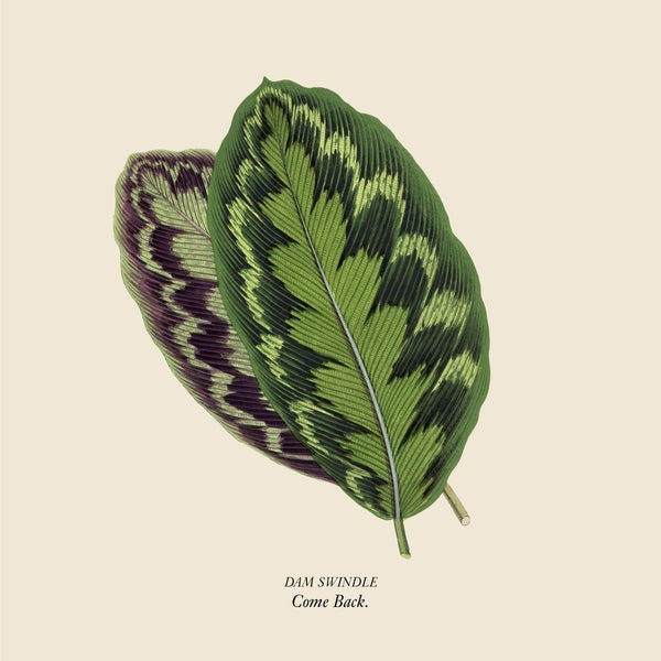 DAM SWINDLE Come Back