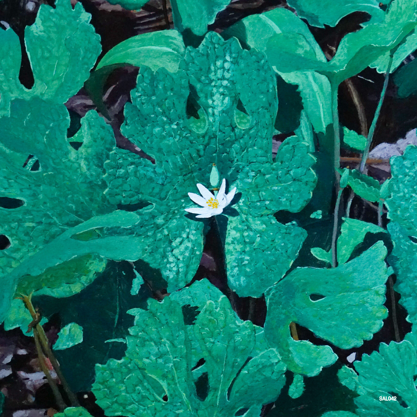 Early Fern Wetland Interiors