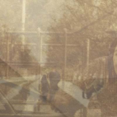 EZEKIEL HONIG Folding In On Itself