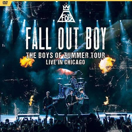 Fall Out Boy THE BOYS OF ZUMME(DV