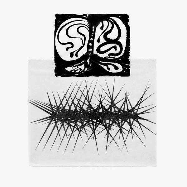 LISA LERKENFELDT Halos of Perception