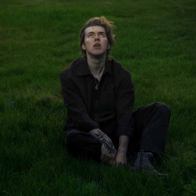 Livingston A Hometown Odyssey