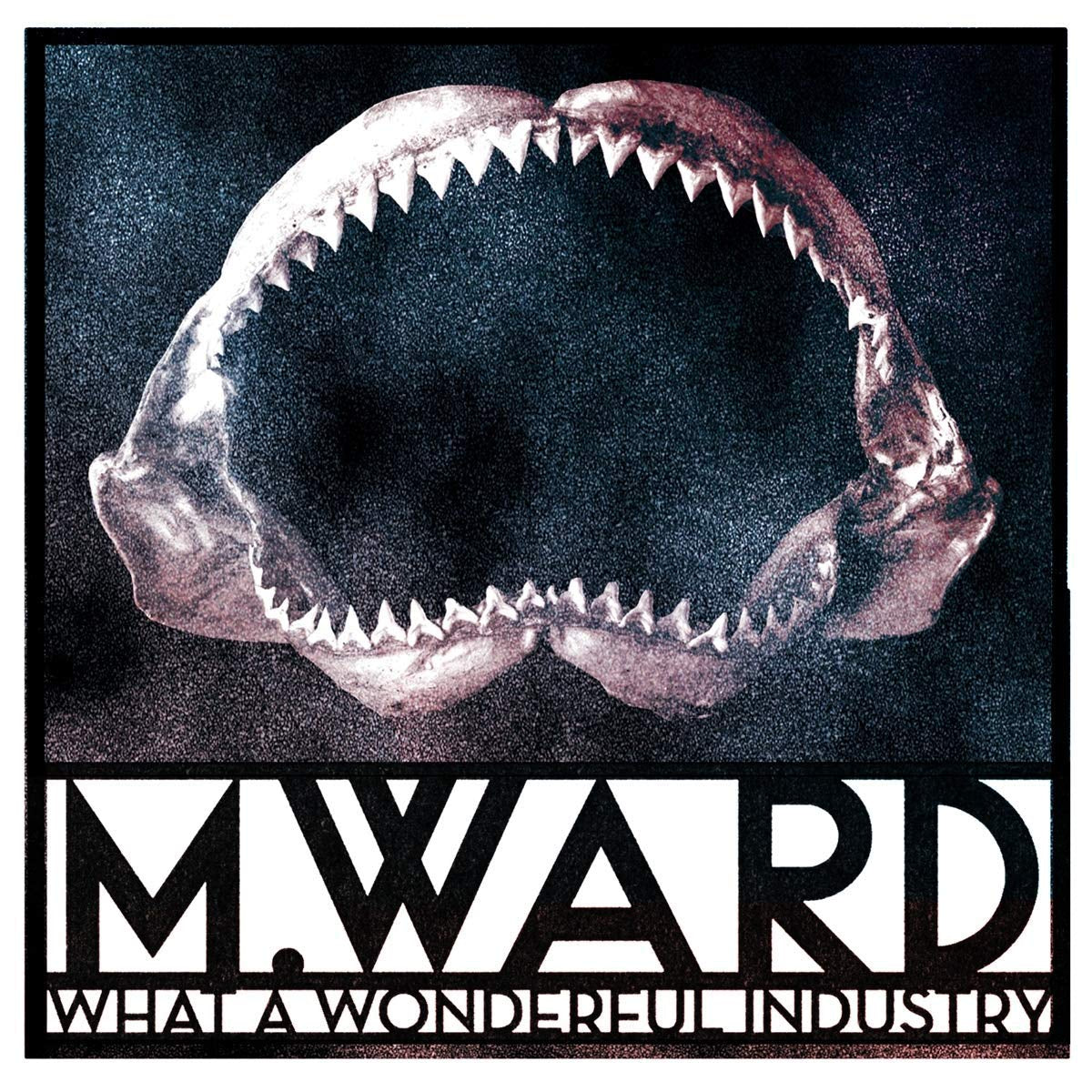 M. Ward What a Wonderful Industry