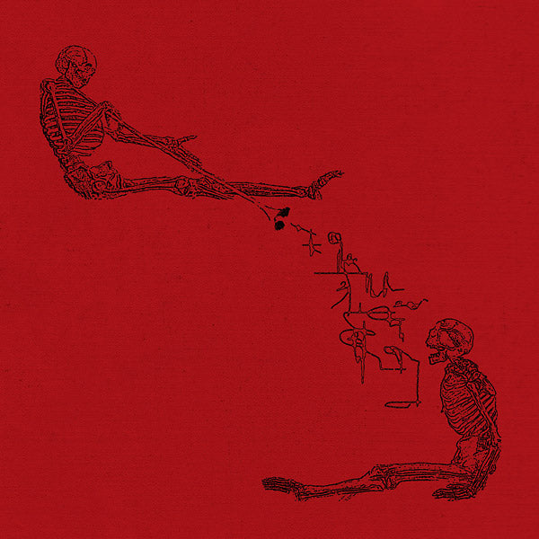 MARCUS FJELLSTROM Skelektikon