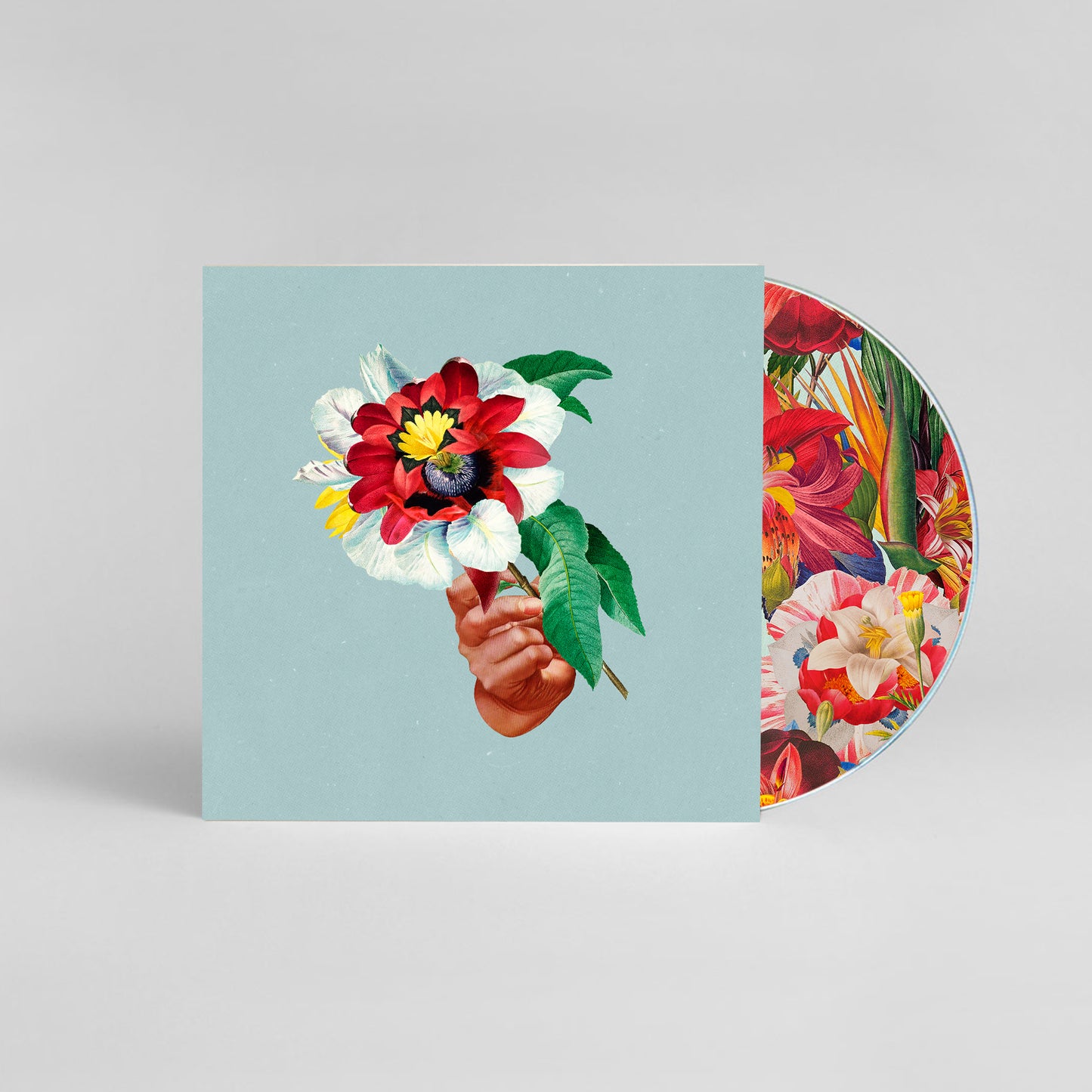 Maribou State Kingdoms in Colour