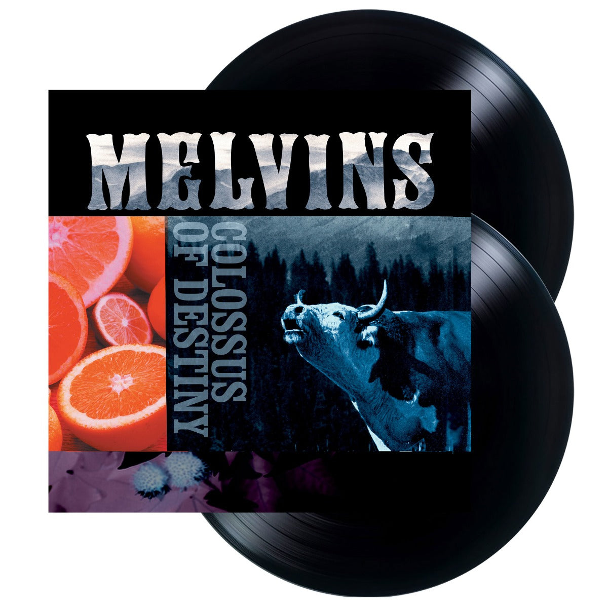 MELVINS Colossus Of Destiny (2LP Vinyl Reissue)
