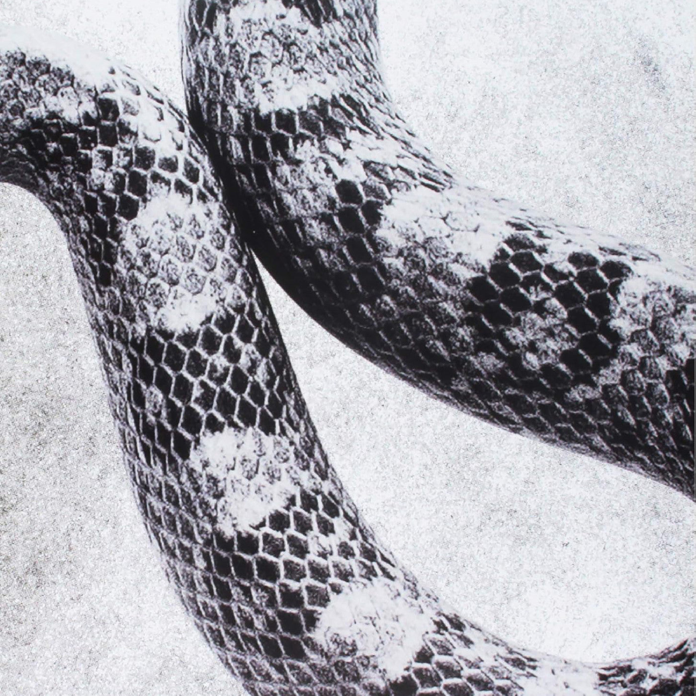 Noah Gundersen I'M Alright/Fine