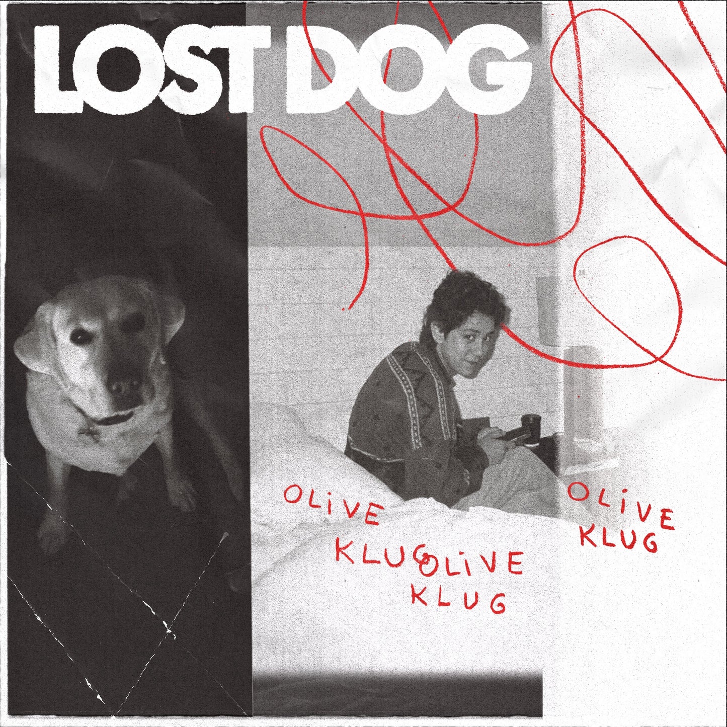 Olive Klug Lost Dog