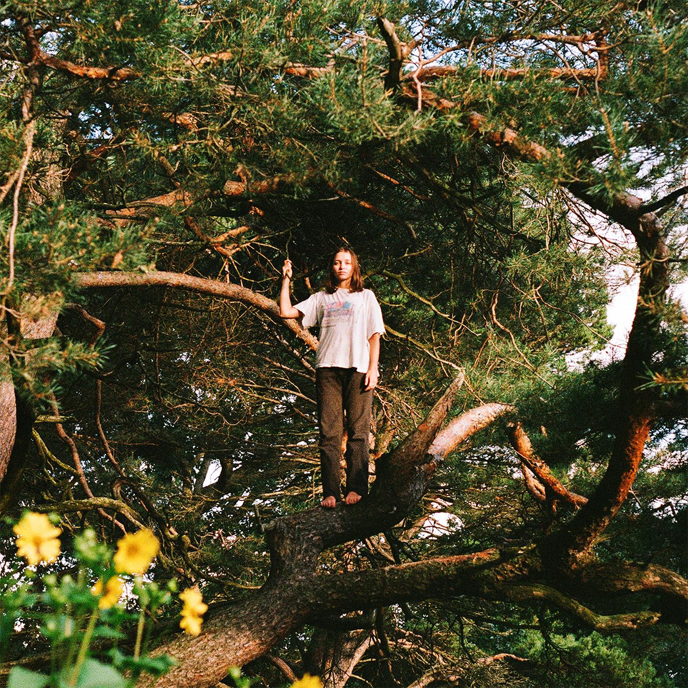 Packs Melt The Honey