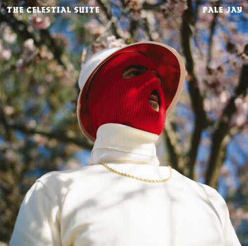 Pale Jay The Celestial Suite