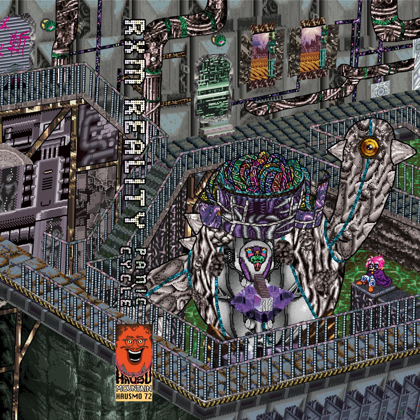 RXM Reality Panic Cycle