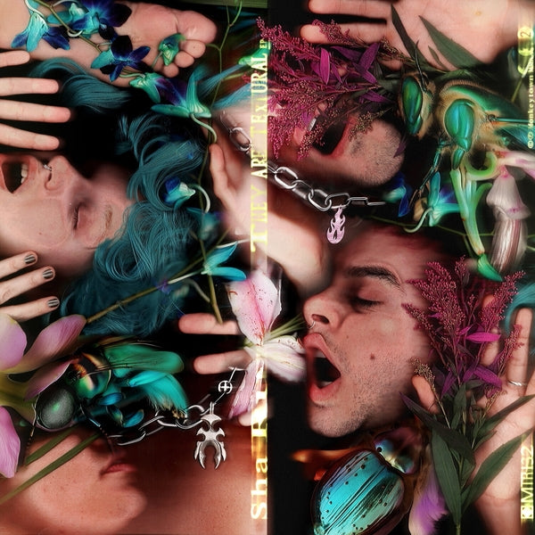 Sha Ru They Are Textural