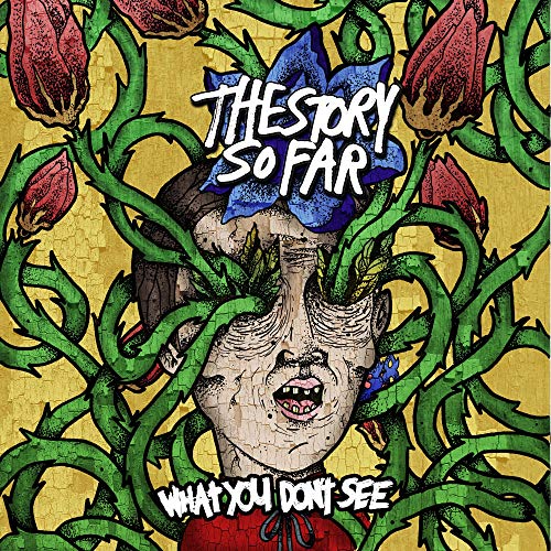 Story So Far, The What You Don'T See