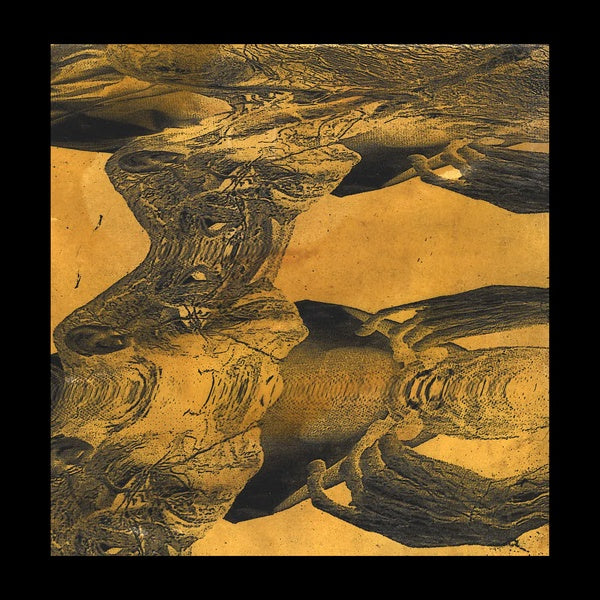 Tashi Dorji Tashi Dorji