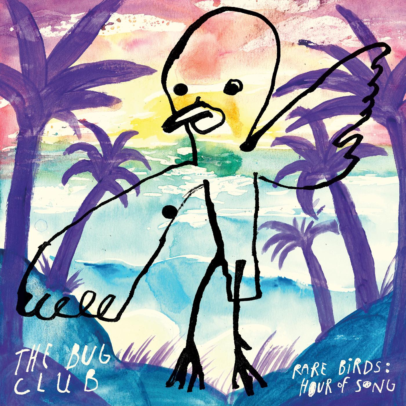 The Bug Club Rare Birds: Hour of Song