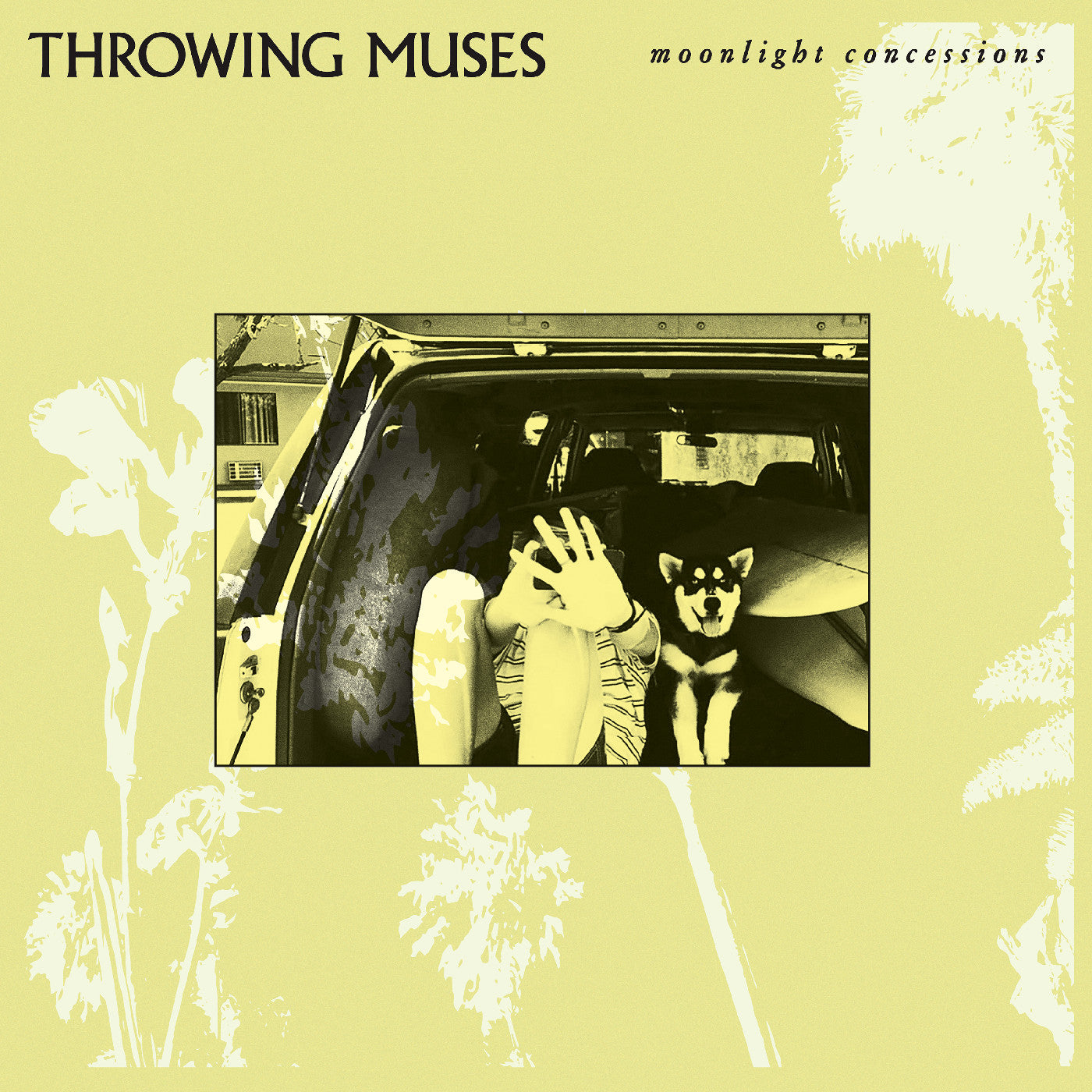 Throwing Muses Moonlight Concessions (Cream Vinyl)