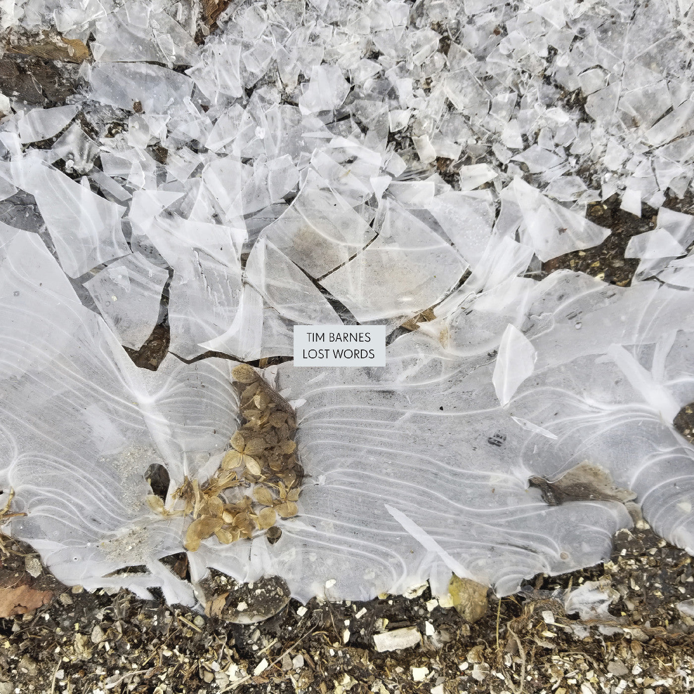 TIM BARNES Lost Words