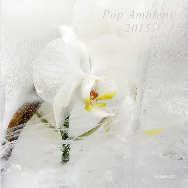 Va Pop Ambient 2015