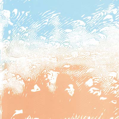 XIPHIIDAE Quaking Myth