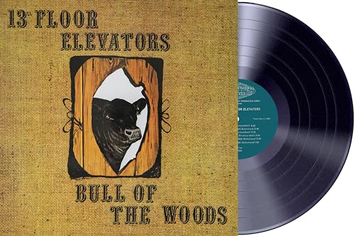 13Th Floor Elevators, The Bull Of The Woods