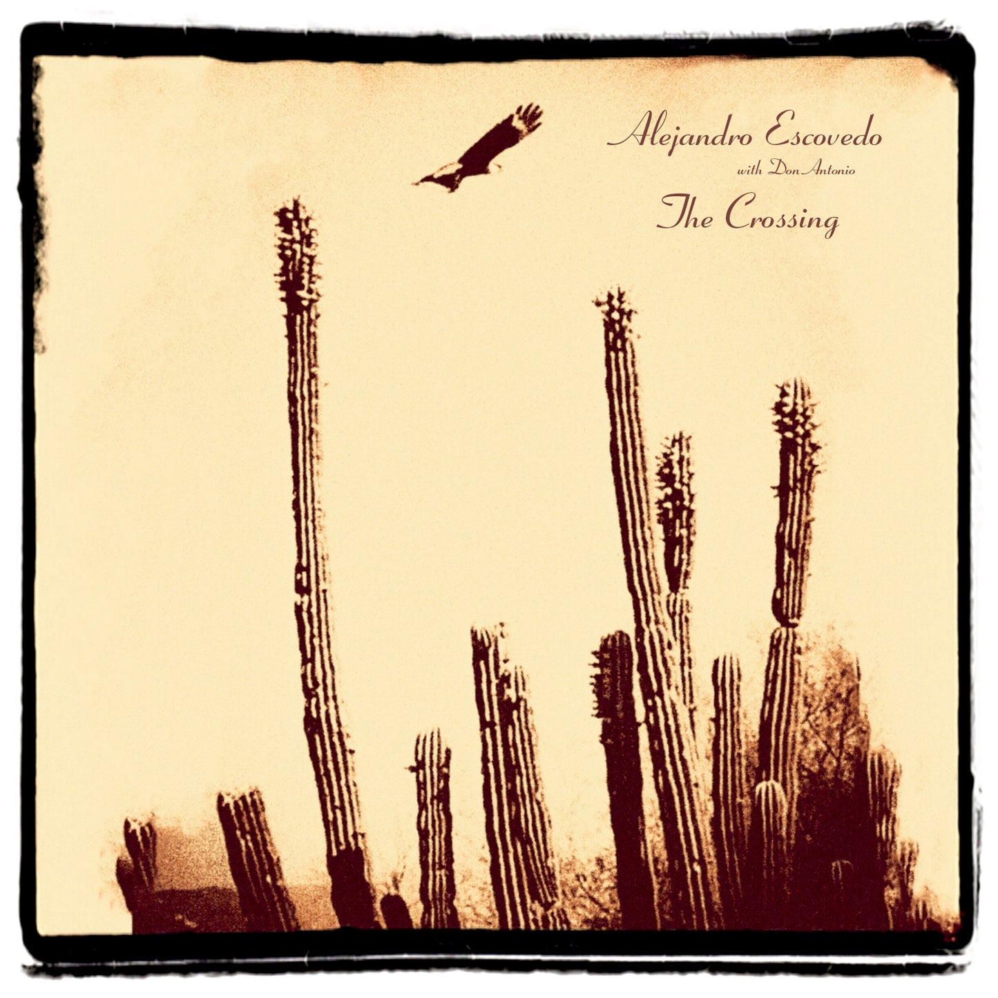 Alejandro Escovedo The Crossing