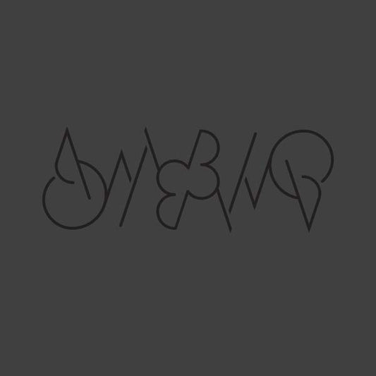 AMBIQ ambiq 2