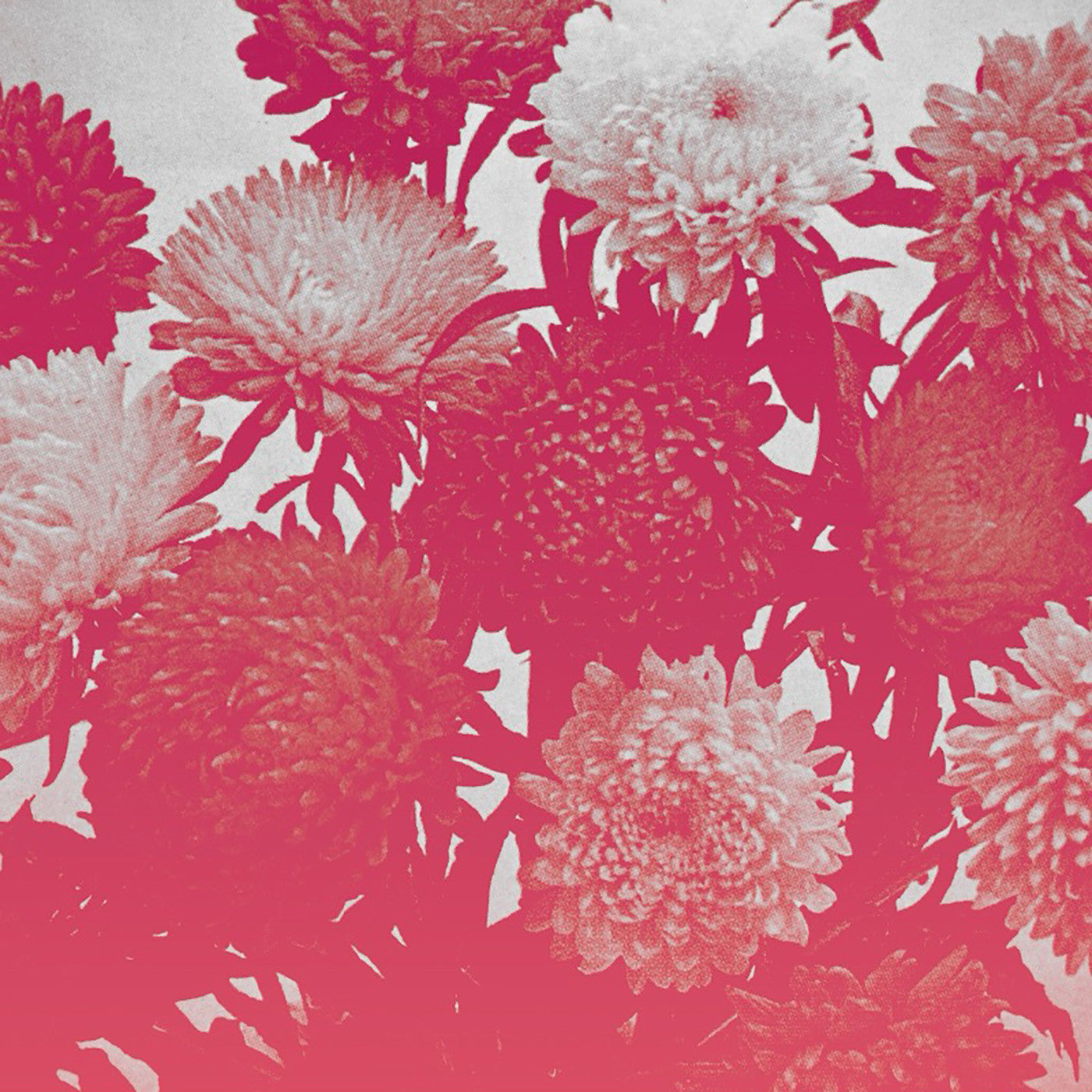 amelia courthouse broken things