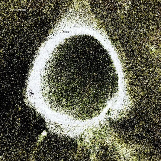 AMIIRA (KLAUS GESING, BJORN MEYER, SAMUEL ROHRER) Curious Objects