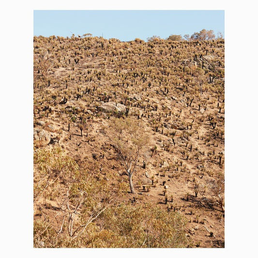 ANDREW PEKLER & GIUSEPPE IELASI Palimpsests