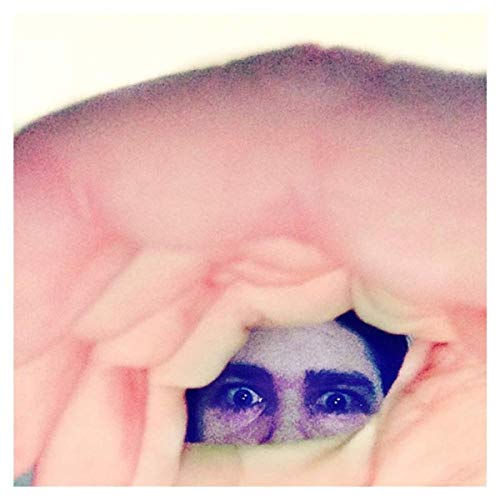 Ariel Pink Odditties Sodomies Vol. 2 [LP]