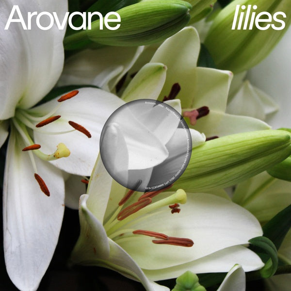 AROVANE Lilies