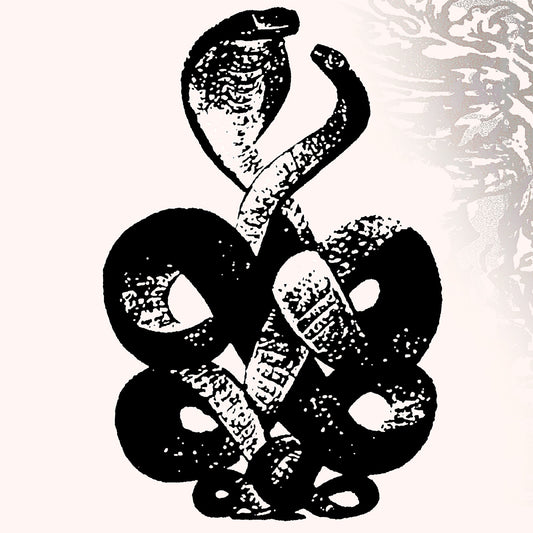 Bardo Pond Volume 4 & 5