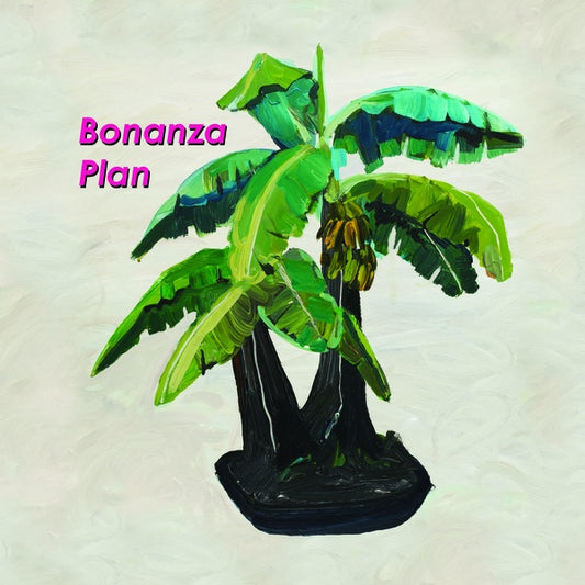 BARRINGTONE Bonanza Plan