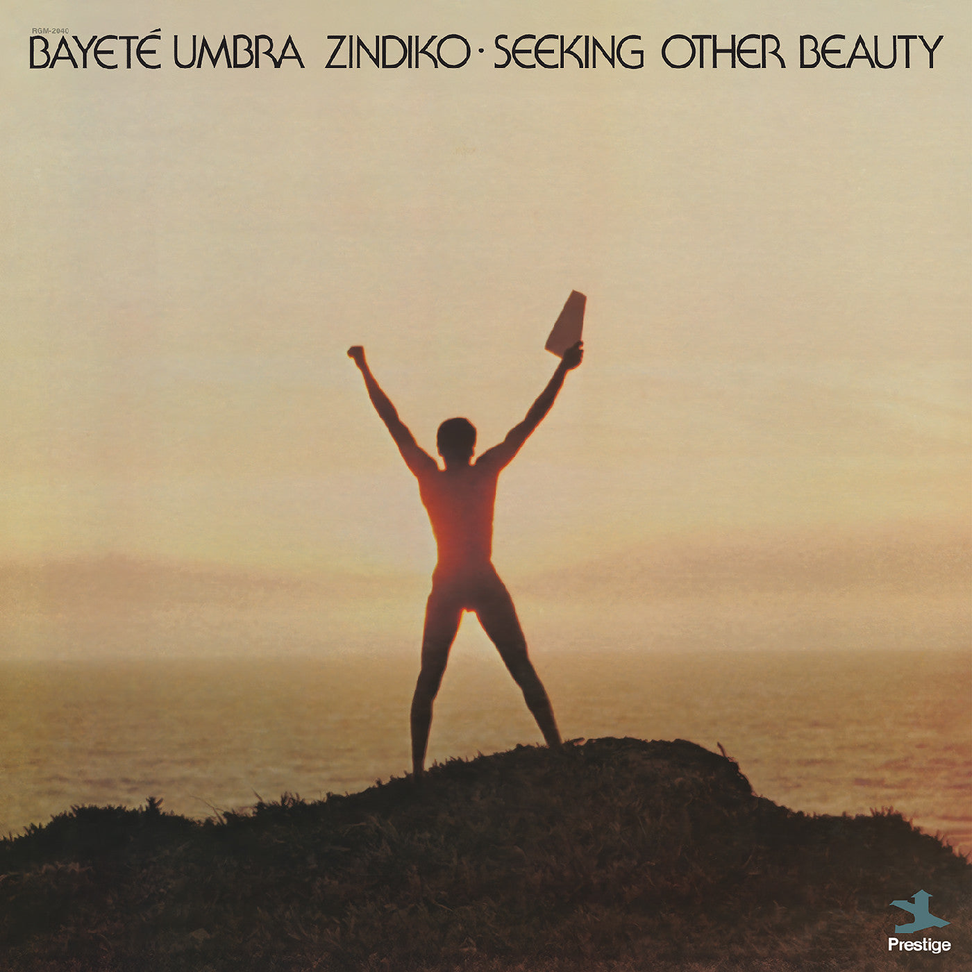Bayeté Umbra Zindiko Seeking Other Beauty (All-Analog)