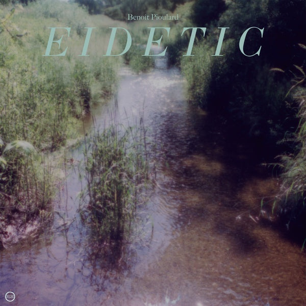 BENOIT PIOULARD Eidetic