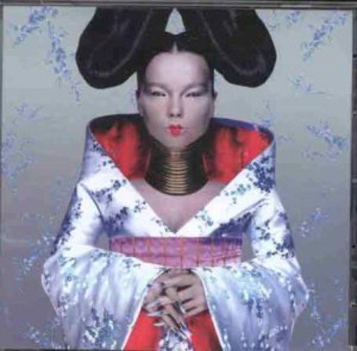 Bjork Homogenic