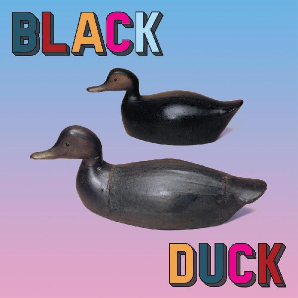 Black Duck Black Duck