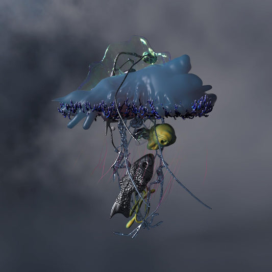 bod Limpid Fear