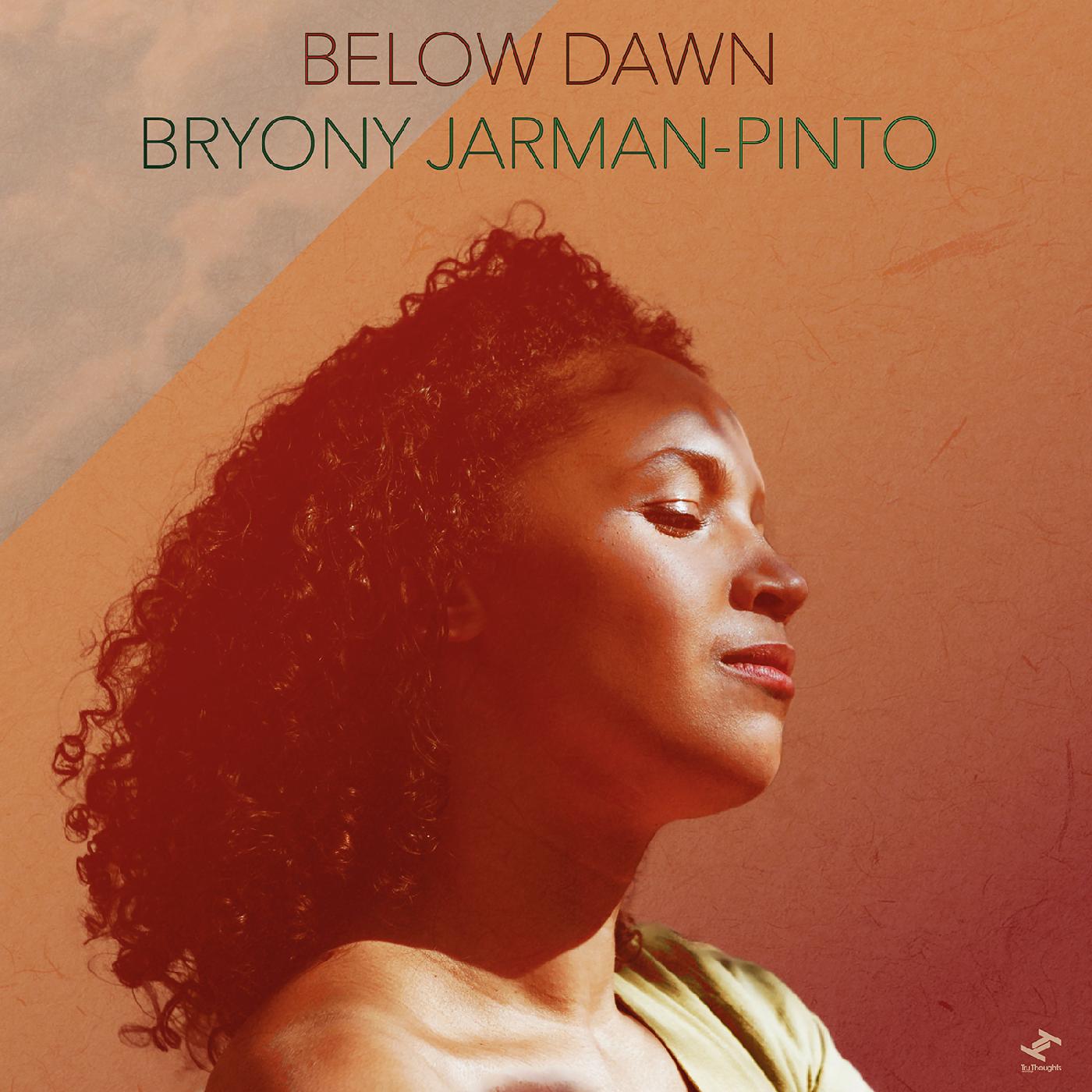 Bryony Jarman-Pinto Below Dawn