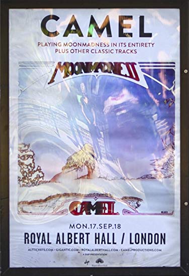 Camel Camel At The Royal Albert Hall [Import] (United Kingdom - Import, NTSC Region 0)