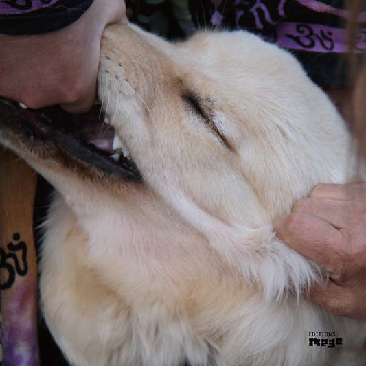 CHRISTIAN FENNESZ & JIM O'ROURKE It's Hard For Me To Say I'm Sorry
