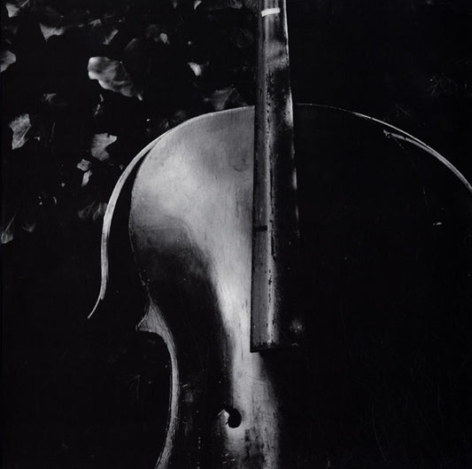 CHRISTOPHER FOX & ANTON LUKOSZEVIEZE Re:play