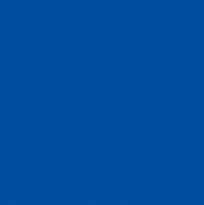 CONRAD SCHNITZLER Blau