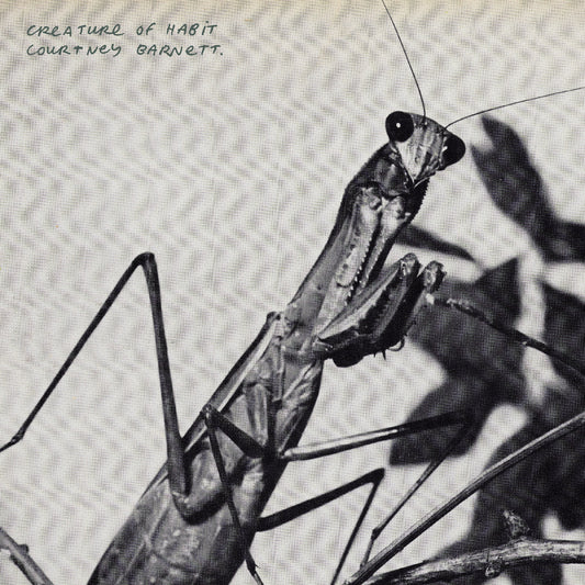 Courtney Barnett Creature Of Habit